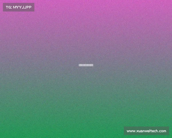 赛事筹备情况简介范文